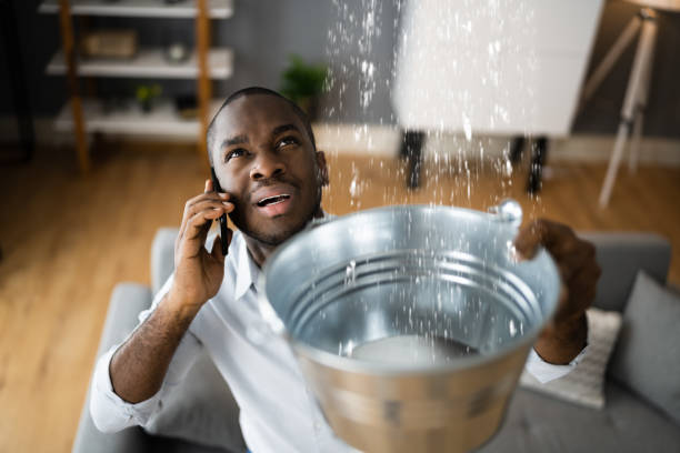 Best Water damage restoration near me  in Nashville, IN