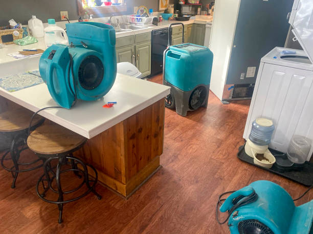 Best Mold removal after water damage  in Nashville, IN