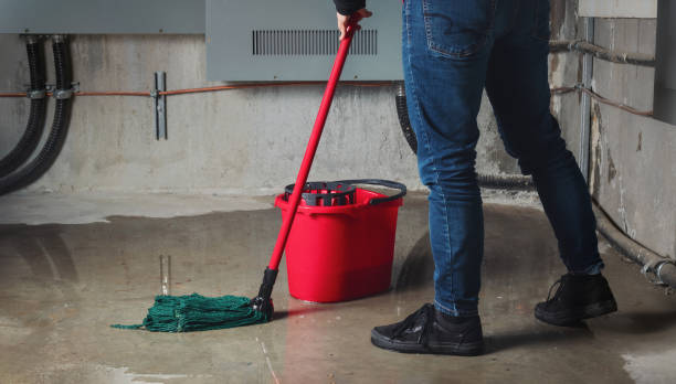 Best Ceiling water damage repair  in Nashville, IN