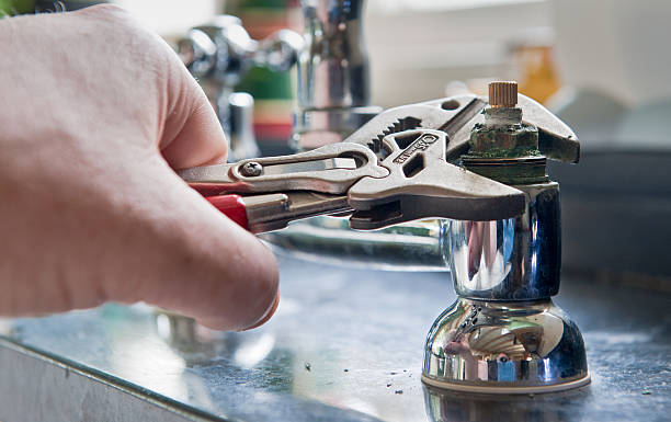 Best Professional water damage repair  in Nashville, IN