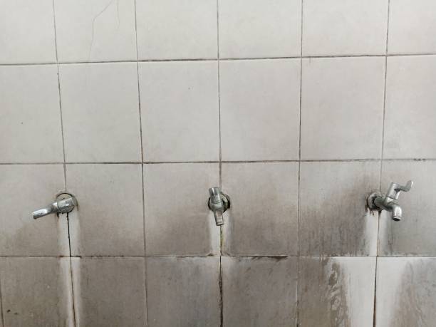 Best 24/7 water damage repair  in Nashville, IN