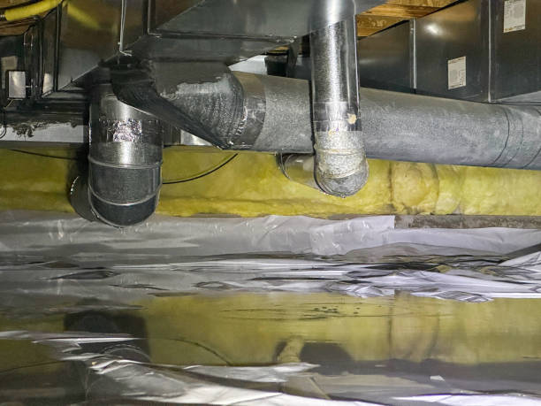 Best Residential water damage restoration  in Nashville, IN
