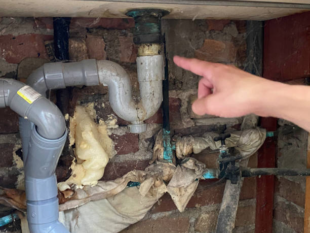 Best Carpet water damage restoration  in Nashville, IN