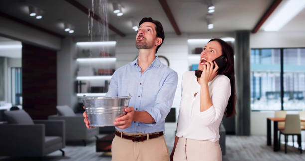 Best Commercial water damage restoration  in Nashville, IN