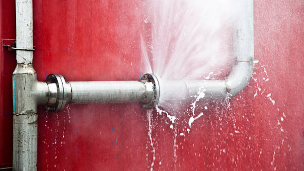 Best Mold removal after water damage  in Nashville, IN